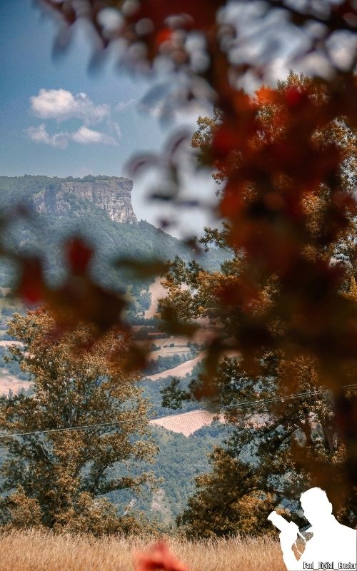Foto della pietra di Bismantova sul lato destro e un albero con foglie arancioni sulla sinistra