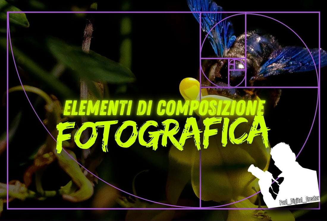 Elementi di composizione fotografica: regola dei terzi e griglie