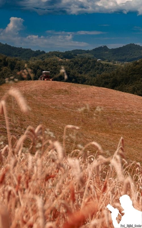 Paesaggio estivo in un campo di grano con un trattore rosso in lontananza e montagne verdi con cielo azzurro