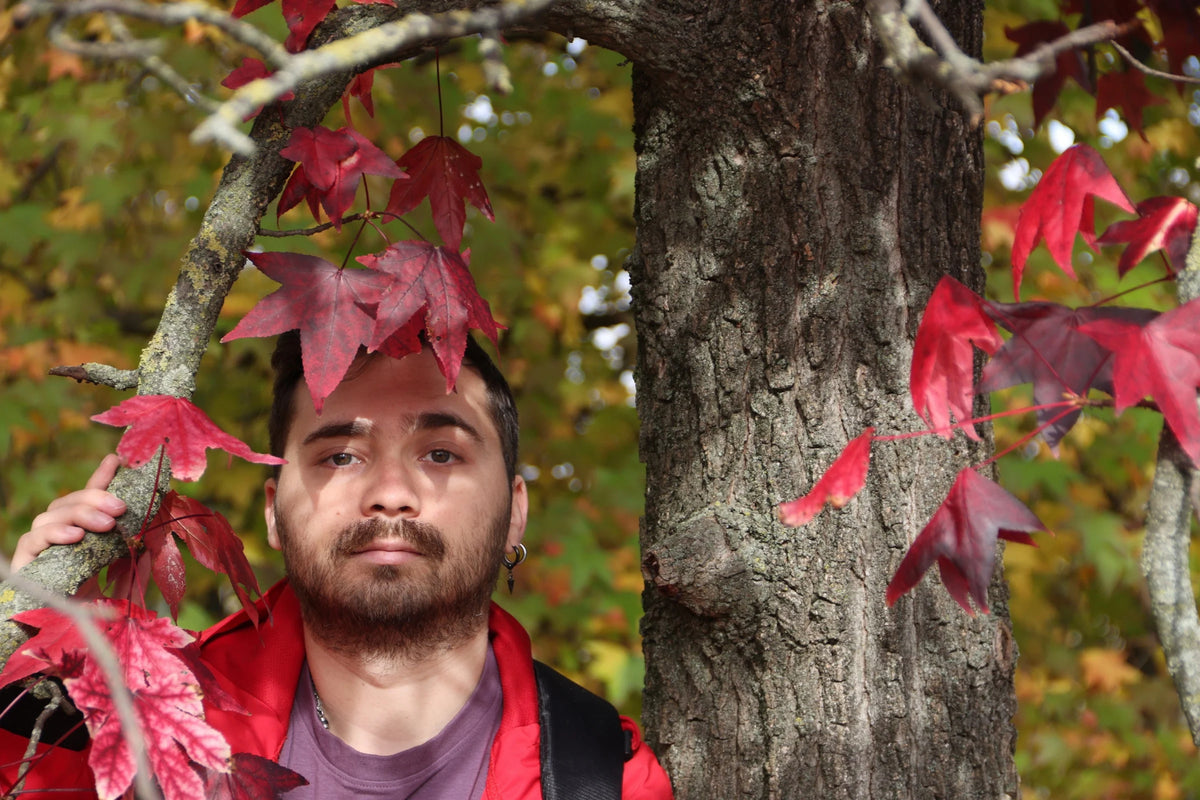 foto autunnale di Paul, hero image del sito