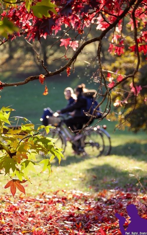 due cicliste sfocate in un paesaggio autunnale
